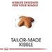 Royal Canin Beagle Adult 12 kg, 1er Pack (1 x 12 kg)