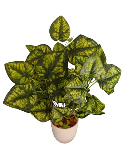 Image of Natural Looking Artificial Money Plant /Tree with Pot | Ornamental Plant for Interior Decor | Home /Shop /Office Decor (Yellow-Green-New)