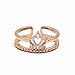 LFWZY YANRR Anillo Zircon Hembra Doble índice Dedo Anillo Personalidad Estudiante Mano decoración de la Abertura del Anillo de Las Mujeres Imagen de LFWZY YANRR Anillo Zircon Hembra Doble índice Dedo Anillo Personalidad Estudiante Mano decoración de la Abertura del Anillo de Las Mujeres