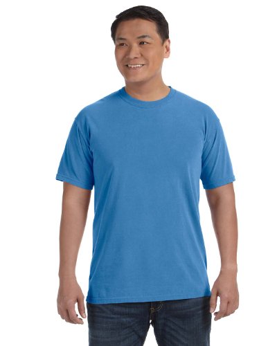 Image of Comfort Colors Adult Short Sleeve Tee, Style G1717