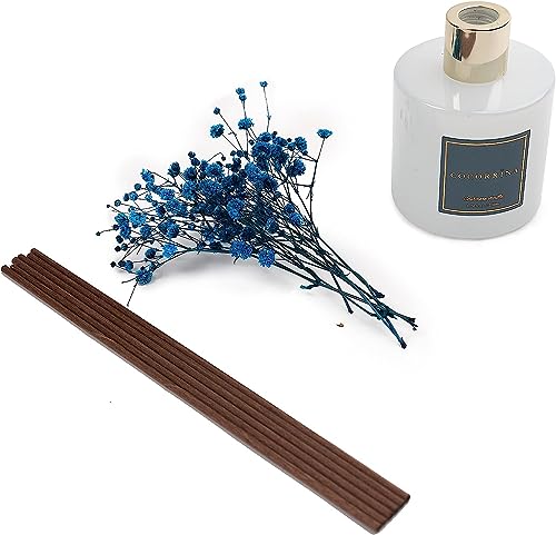 Raumduft Vanille Cocorrína Reed Diffuser mit 8 Duftstäbchen