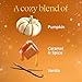 Glade 3-Wick Scented Candle Jar, Pumpkin & Ginger, Air Freshener Infused with Essential Oils, 6.8 Oz, 3 Count