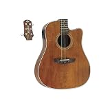 Violão STRINBERG Aço Elétrico SD200C SMS
