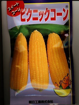 Amazon | ピクニックコーン パイオニアエコサイエンスのトウモロコシ種 