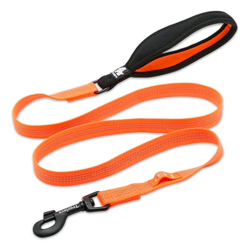 Wanwan Square Garden  [h p [h ^ ^ Truelove uh _炩 ɂȂ ɗD \tgnh  ^ lIvnh[hiIW- Mj