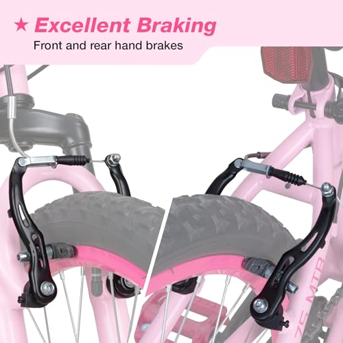 WEIZE 20 Inch Girls Mountain Bike