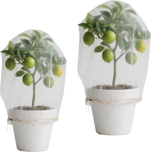 LUMOOM 2 redes de protección contra insectos con cordón, redes de protección para pájaros para árboles frutales, plantas de malla fina, red de verduras, red de protección para árboles frutales (0,7 x