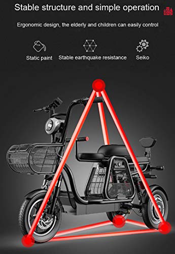Image of 960 W Electric Bike for Adults - 3 Wheel Stable Mountain Scooter, 48V 20AH 12'' Bicycle With Electric Lock for Home, Beach, Shopping (Family With Children or Pets), Black
