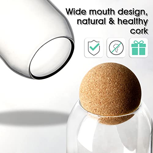 Nutriups Storage Glass Jar With Ball Cork Lid, 3Pcs Glass Canisters With Cork Ball, Cute Decorative Round Glass Jars With Wood Ball Lid 500 Ml/17Oz,800Ml/27Oz,1200Ml/41Oz #TOP1