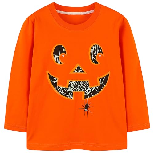 Image of AIWUHE Toddler Cotton Sweatshirt Boys Girls Pullover Long Sleeve Tops 2-6Y