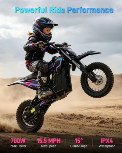 QWAYQ 36V Electric Dirt Bike