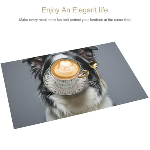 Sets de table Border Collie étanches pour vos repas en terrasse - 4