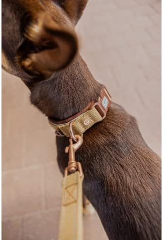 EzyDog Classic Neo Dog Collar, Reflective X-Large Dog Collar with Quick Release Buckle, for Small Medium & Large Dogs - Image 3
