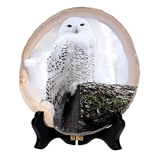 Búho nevado en ágata Nupuyai para eliminar la monotonía de tu escritorio con arte mineral 2