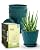 Goproauto 6 Inch Indoor Planter Pots with Drainage Hole and Tray Saucer,Flower Pots for Indoor Outdoor Garden Plants and Flowers, Multicolor, 5 Packs