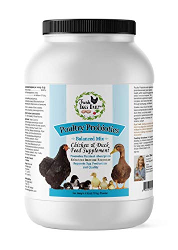 FRESH EGGS DAILY Poultry Probiotics Feed Supplement Vitamins for Chickens and Ducks 6LB