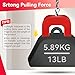 Gulfmew Horseshoe Alnico U Shaped Magnet, 13 lb Pull, Red, Rectangular, Utility Magnet (1 Pcs)