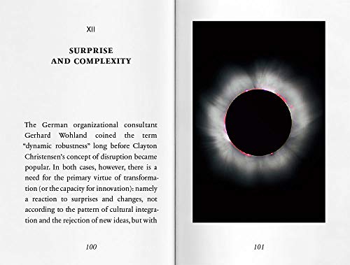 The Surprise, or the Opportunity for Disruption: Rosebud No. 8