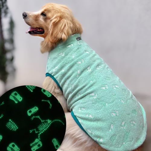 Roupa pet para cachorros BRILHA NO ESCURO (VERDE/FÓSSEIS, 12)