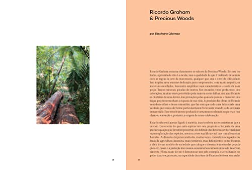 Ricardo Graham Ferreira: O Ebanista