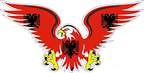 Bandiera Da Pilastro 7000 Mm E 1000 Kg - Stock Fallimenti - Foto 6