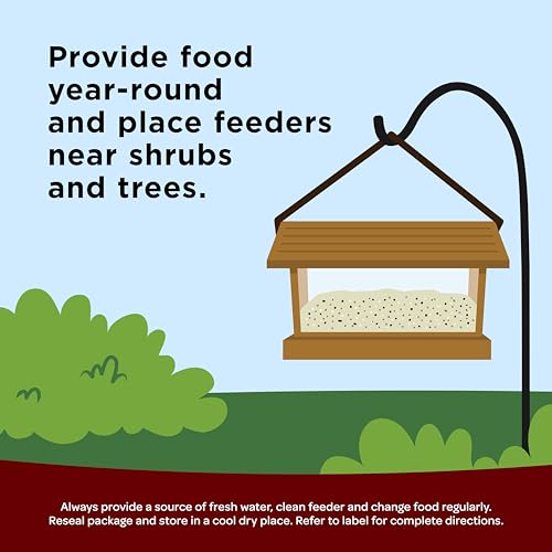 Kaytee Wild Bird Songbird Blend Food Seed, 7 Pound - image 6