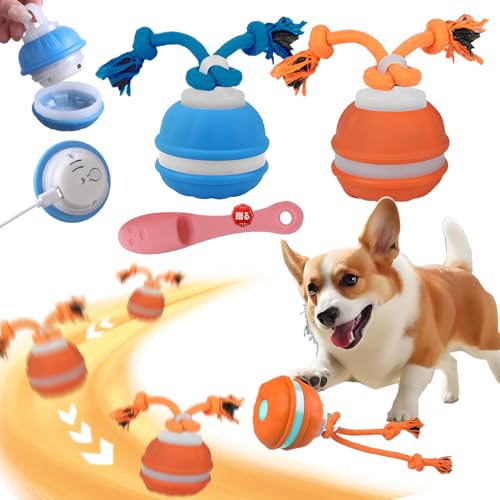  {[  ^  dhbO{[ USB[d\ p {[ Iɓ] Sޗ  ^/^/^ ߋ  ^s΍ XgX  {\h /O V ybgpi (u[)