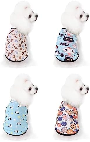 SUNCN ybgAATVcApW}AxXgAʋCAbVAX|[cEFAAAE^[EFAAt@bVAUAOo u[1 S