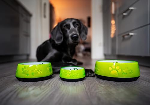 Hundenapf für Kleine und Große Hunde - Futternapf/Trinknapf S/M/L Rutschfest (M 1010ml für Mittlere Hunde, Hellgrün)