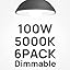 5000k Daylight-100w 6pcs