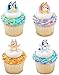 DecoPac Bluey So Much Fun Rings, 24 Cupcake Decorations Featuring Bluey, Bingo, Bandit, and Chilli, 3D Food Safe Cake Toppers – 24 Pack
