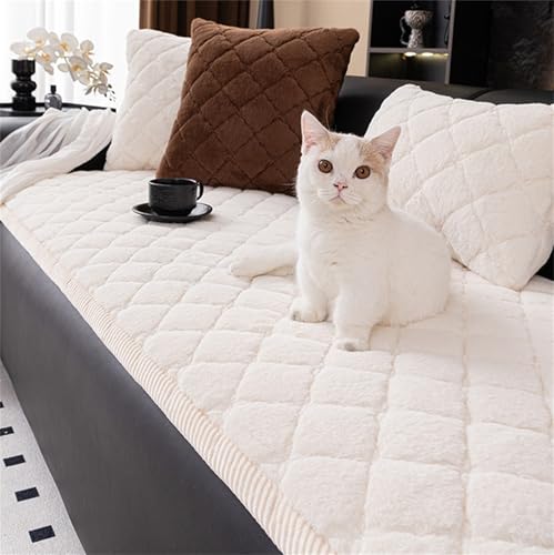 Housse de canapé lavable : la solution contre les poils de chiens et chats