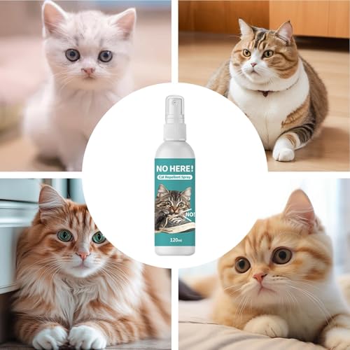 ybg֎~GAXv[ - ASz 120mlAɖoZpAlR̈~h~A\t@EAEJ[ybgɓKp?