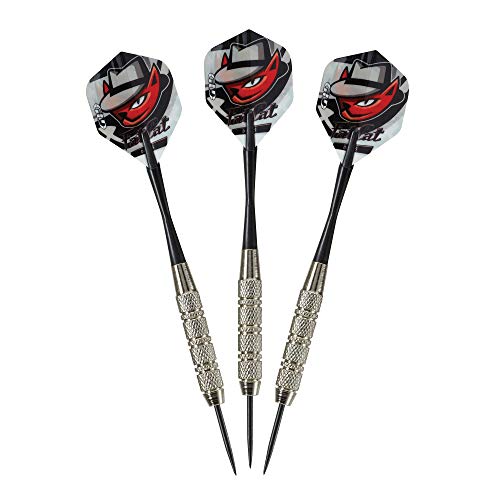 Fat Cat Darts in a Jar: Steel Tip Darts with Storage/Travel Container, 20 Grams (Pack of 15, 21 and 27 Darts)