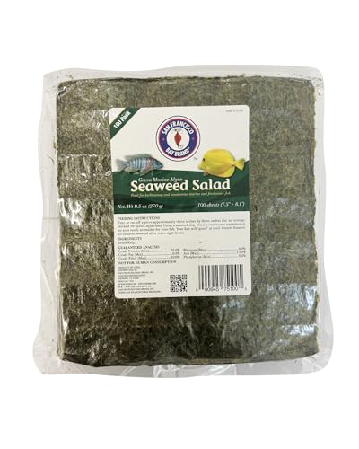 San Francisco Bay Green Seaweed Salad Marine Algae for Fish