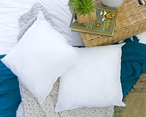 Foamily Throw Pillows Insert Set Of 4 - 20 X 20 Insert For Decorative Pillow Covers - Made In Usa - Bed And Couch Sham Filler #TOP4