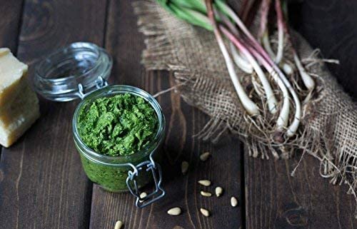 100 Fresh Wild Ramps/Leeks for Cooking or replanting