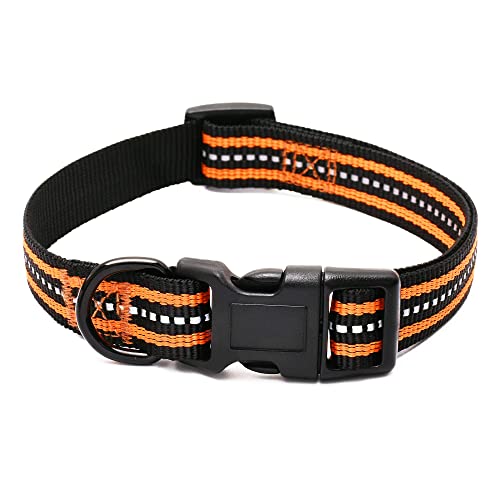 Mile High Life Reflective Nylon Dog Collar #TOP4