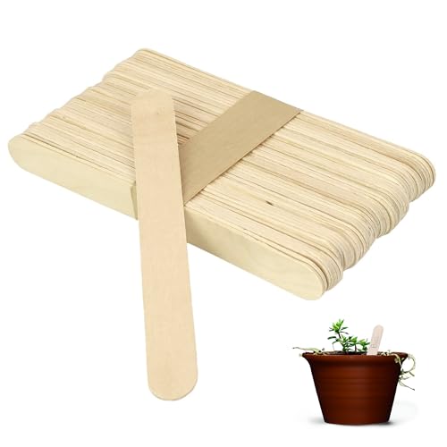 Pack of 100 Biodegradable Wooden Sticks 11cm Wooden Plant Labels Disposable Wax Applicator Spatulas for Body Hair Removal Arts & Crafts (100 Wooden Sticks)