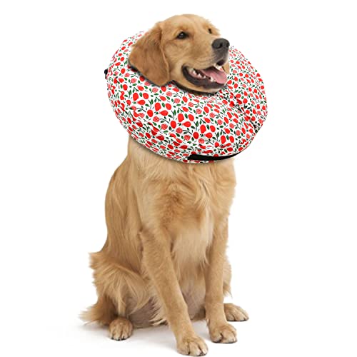 Image of Protective Inflatable Collar for Dogs and Cats - Soft Pet Recovery Collar Does Not Block Vision, Prevents Pets from Touching Stitches, Wounds and Rashes (Floral - 1, Neck 18 inch - 20 inch)