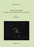  Brins d’herbe entre les lames du plancher