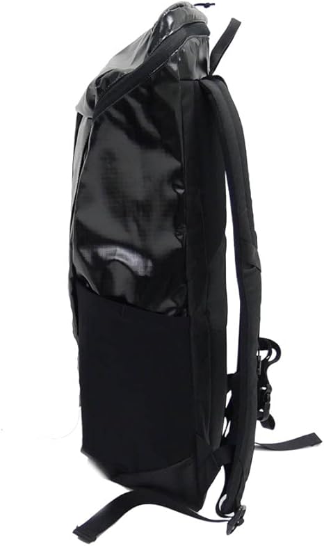 Amazon.co.jp: [パタゴニア] バックパック ブラックホール パック 25L