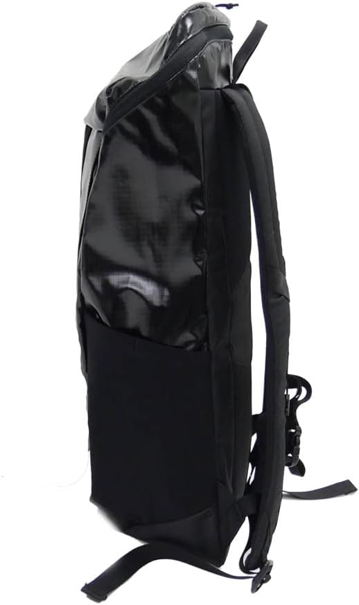 Amazon.co.jp: [パタゴニア] バックパック ブラックホール パック 25L