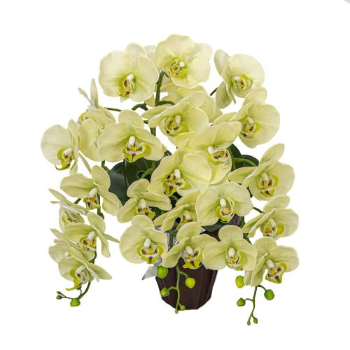 Ӓ 3{   1 ԕrt D bZ[WJ[h j J LO   CeA H1_006