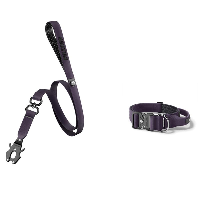 Bullyion ® Original Equipment All Action Swivel Lead 1.4 m & Heavy Duty Tactical Dog Collar with Handle - Softcell Padding – Lockforce Buckles (WINDSOR PURPLE - WIDTH 5 cm - SIZE SMALL)