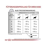 Royal Canin Expert Calm Small Dogs Trockenfutter | 4 kg | Alleinfuttermittel für ausgewachsene kleine Hunde | Möglicher entspannender Effekt | Hydrolysiertes Milchprotein und L-Tryptophan