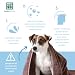 MENFORSAN Geruchsbeseitigendes Hundeshampoo, Beseitigt schlechte Gerüche aus dem Fell, Talkum, Blau, 1 l