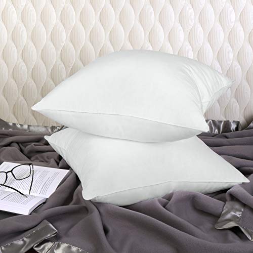Image of THE HOME STYLE Cotton Vaccum White Cushion Fillers (24 x 24 INCH, Set of 2)