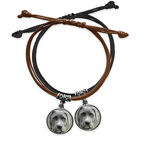 Bracelet Chien cuir double tour pour homme et femme passionnés
