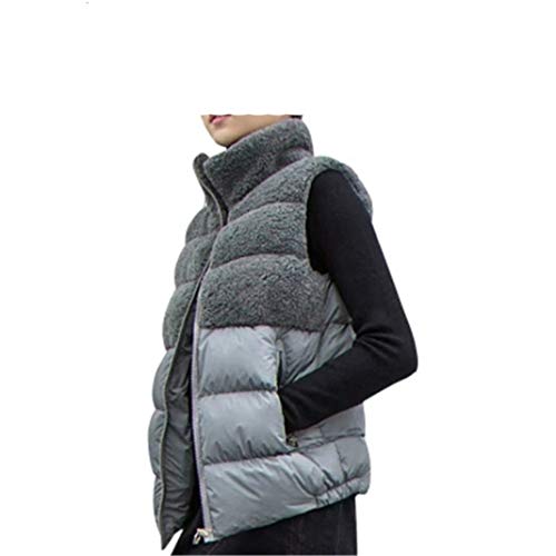 Vest Coat Women's Warm Plush Autumn Winter Sleeveless Reversible Wear Zip Up Lined Jacket with Pockets Black